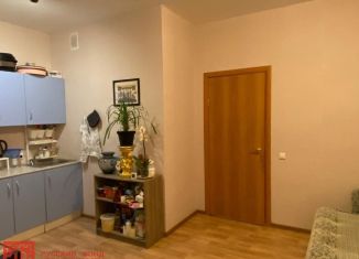 Продам квартиру студию, 26 м2, Санкт-Петербург, Парашютная улица, 58, ЖК Каменка