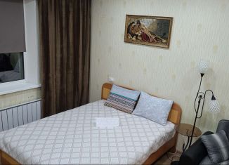 Сдам в аренду однокомнатную квартиру, 45 м2, Челябинск, улица Агалакова, 66А