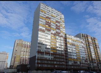 1-комнатная квартира в аренду, 31 м2, посёлок Шушары, Вилеровский переулок, 6, ЖК Юнион