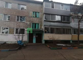 3-комнатная квартира на продажу, 61.2 м2, село Ивановка, Рабочая улица, 24