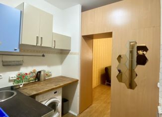 Квартира в аренду студия, 25 м2, Санкт-Петербург, Бухарестская улица, 118к3, муниципальный округ Александровский
