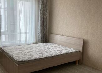 1-комнатная квартира в аренду, 40 м2, Великий Новгород, Колмовская набережная, 85, ЖК River House