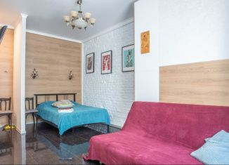 Аренда 1-комнатной квартиры, 26 м2, Санкт-Петербург, Новочеркасский проспект, 39к1