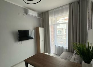 Квартира на продажу студия, 17 м2, Сочи, улица Ленина, 290/6, ЖК Курортный