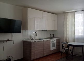 Сдается в аренду однокомнатная квартира, 41 м2, Екатеринбург, Рощинская улица, 37А, ЖК Тихий Берег-2