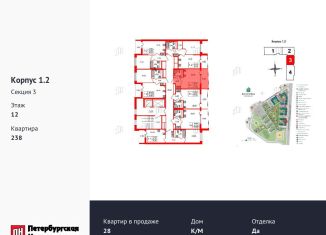 Продажа квартиры студии, 24.2 м2, Санкт-Петербург, метро Озерки