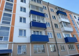 Аренда 2-комнатной квартиры, 45 м2, Усолье-Сибирское, улица Луначарского, 21