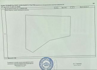 Продам земельный участок, 22 сот., деревня Борлок