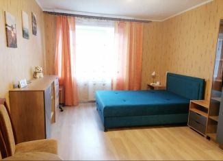 Аренда 1-комнатной квартиры, 34 м2, Санкт-Петербург, Народная улица, 65