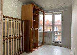 Продажа 1-комнатной квартиры, 26 м2, посёлок Голубево, Лазурная улица, 10