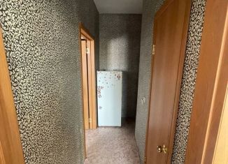 Сдам 1-комнатную квартиру, 30 м2, Братск, Енисейская улица, 17Е