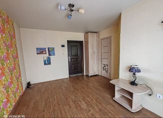 1-комнатная квартира на продажу, 27 м2, Михайловск, Любимая улица, 1