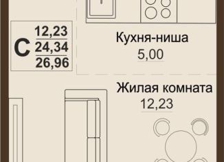 1-комнатная квартира на продажу, 24.3 м2, Челябинская область
