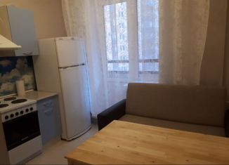 1-комнатная квартира в аренду, 30 м2, Ленинградская область, Областная улица, 1
