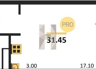 Продаю квартиру студию, 31.4 м2, Новосибирск, Красный проспект, 220