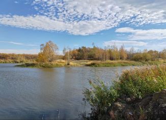 Продается земельный участок, 15 сот., село Новая Беденьга