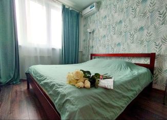 Сдам 1-комнатную квартиру, 46 м2, Рязанская область, Московское шоссе, 33к4