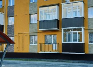 Продажа 1-комнатной квартиры, 34 м2, Белгородская область, проспект Маресевой, 11