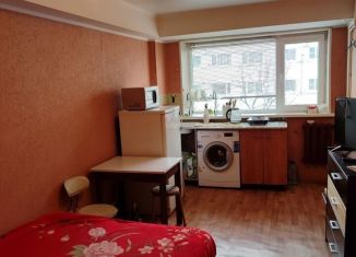 1-комнатная квартира в аренду, 18 м2, Петропавловск-Камчатский, улица Бохняка, 16