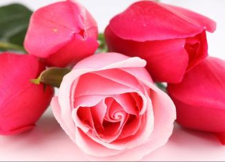 Продам торговую площадь, 208 м2, село Никольское, проспект Революции, 67