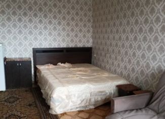 Аренда 1-комнатной квартиры, 32.2 м2, Армавир, улица Ефремова, 141