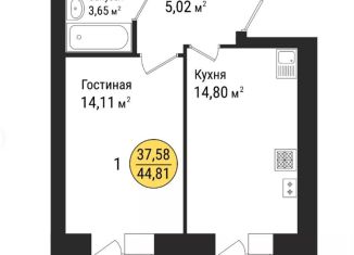 1-комнатная квартира на продажу, 45 м2, село Семёновка