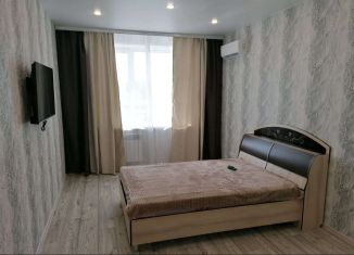 1-комнатная квартира в аренду, 42 м2, Амурская область, улица Ломоносова, 167