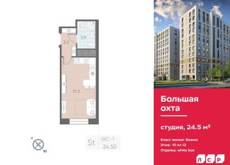 Квартира на продажу студия, 24.5 м2, Санкт-Петербург, муниципальный округ Большая Охта