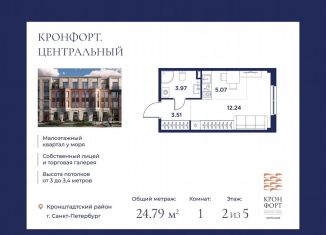 Квартира на продажу студия, 24.8 м2, Санкт-Петербург