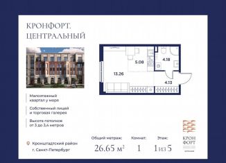 Продается квартира студия, 26.7 м2, Санкт-Петербург