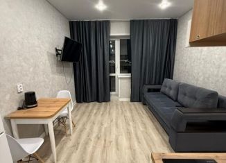 Сдается в аренду квартира студия, 26 м2, деревня Куюки, Молодёжная улица, 29