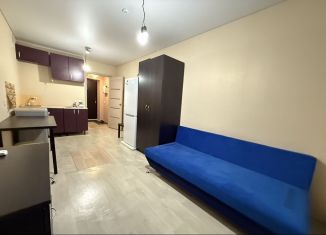 Сдача в аренду квартиры студии, 23 м2, Республика Башкортостан, улица Бориса Перина, 6