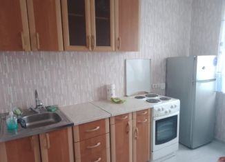 Сдам в аренду 1-ком. квартиру, 40 м2, Красноярск, Ольховая улица, 4