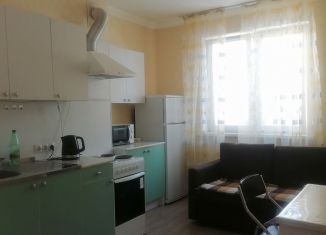 1-комнатная квартира в аренду, 48 м2, Самара, улица Врубеля, 13