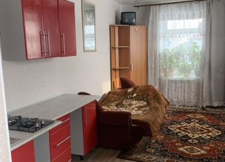 Сдается в аренду квартира студия, 20 м2, Новосибирск, улица Фадеева, 61