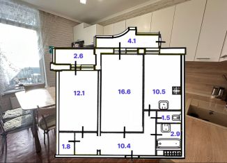 Продам 2-комнатную квартиру, 55.8 м2, Санкт-Петербург, метро Озерки, проспект Просвещения, 43