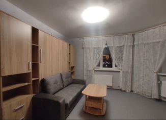 Сдаю в аренду 1-ком. квартиру, 33 м2, посёлок Парголово, Заречная улица, 25