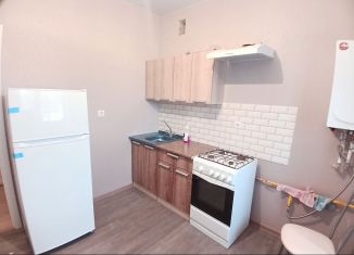 2-комнатная квартира в аренду, 50 м2, Ставропольский край, улица Михаила Калашникова, 41