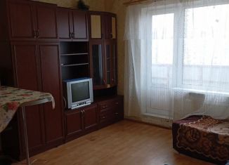 Квартира в аренду студия, 30 м2, Санкт-Петербург, Московское шоссе, 246