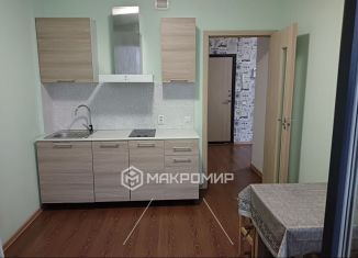 Сдам в аренду однокомнатную квартиру, 38.5 м2, Санкт-Петербург, бульвар Головнина, 12к1, метро Зенит