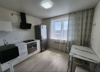 Аренда 1-комнатной квартиры, 50 м2, Саратов, Весенняя улица, 14к1