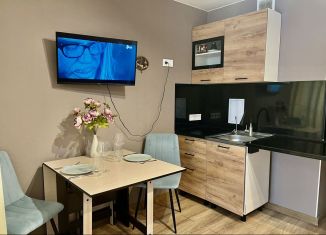 Сдается квартира студия, 28 м2, Анапа, улица Ленина, 239