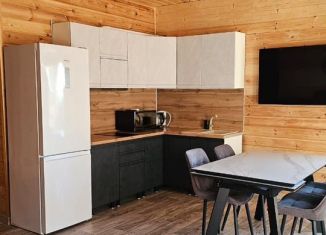 Сдам дом, 100 м2, Краснодарский край, улица Ленина, 300/29