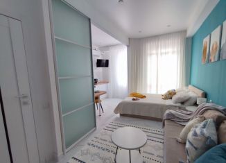 Продажа 1-ком. квартиры, 26 м2, Сочи, улица Калараша, 64/13, ЖК Семейный