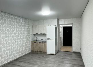 Продам однокомнатную квартиру, 27.6 м2, село Михайловка, Сливовая улица, 10