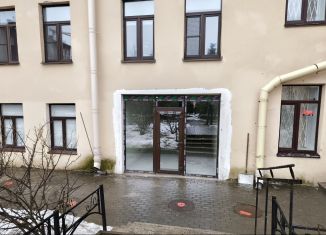 Помещение свободного назначения на продажу, 32 м2, Санкт-Петербург, Пионерская улица, 22, Петроградский район