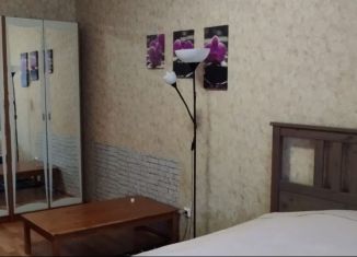 Сдача в аренду 1-ком. квартиры, 42 м2, посёлок Парголово, улица Михаила Дудина, 23к1