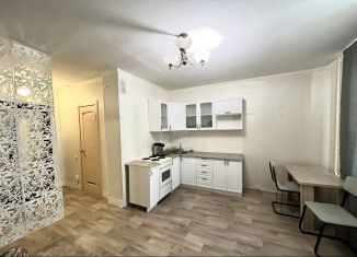 Сдаю в аренду квартиру студию, 24 м2, Магнитогорск, проспект Карла Маркса, 231