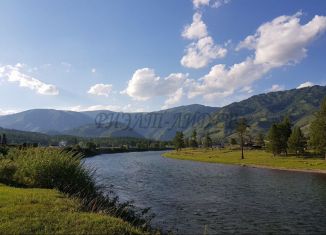 Продам участок, 1300 сот., Купчегенское сельское поселение