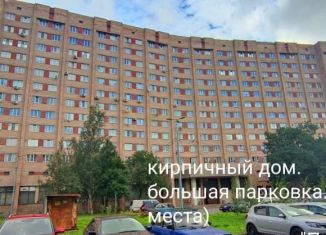 Сдаю 2-ком. квартиру, 47 м2, Санкт-Петербург, Запорожская улица, 23к2, метро Рыбацкое